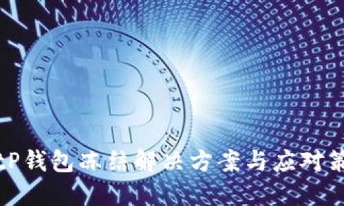 BitP钱包冻结解决方案与应对策略