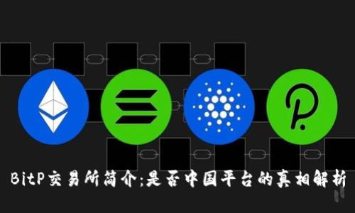 BitP交易所简介：是否中国平台的真相解析