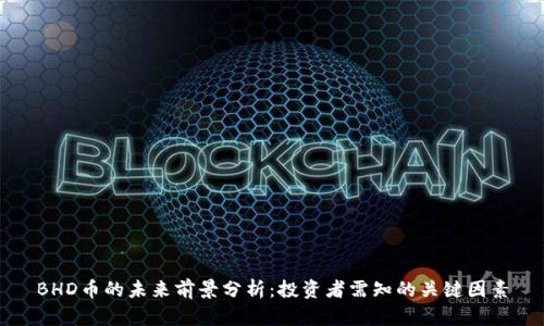 BHD币的未来前景分析:投资者需知的关键因素