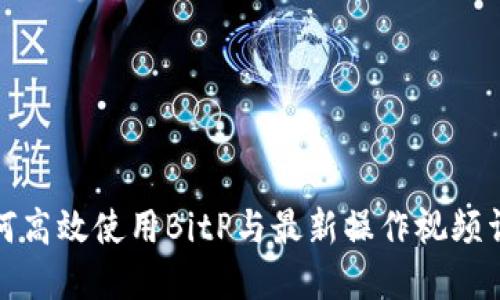 如何高效使用BitP与最新操作视频详解