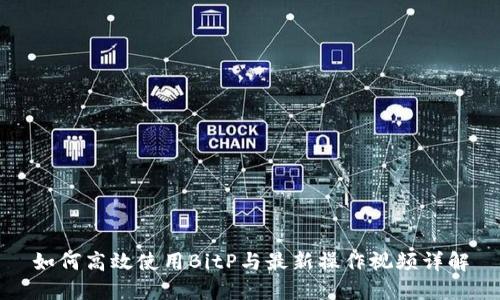 如何高效使用BitP与最新操作视频详解