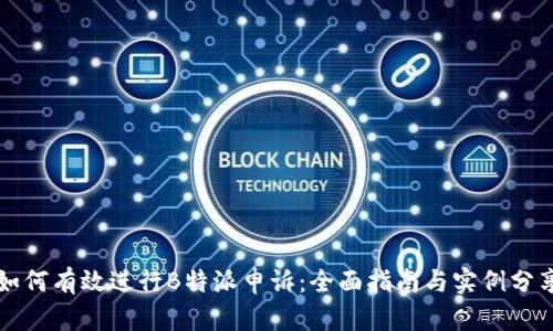 如何有效进行B特派申诉:全面指南与实例分享