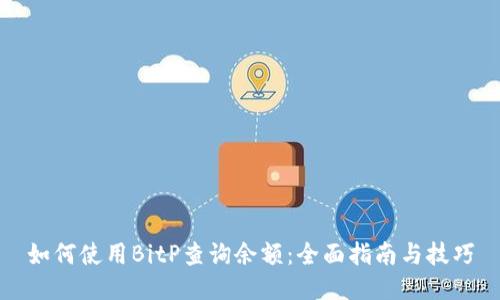 如何使用BitP查询余额：全面指南与技巧