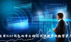 如何使用BitP钱包的中文助