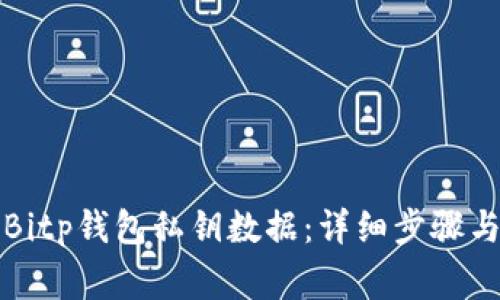 如何导出Bitp钱包私钥数据:详细步骤与注意事项