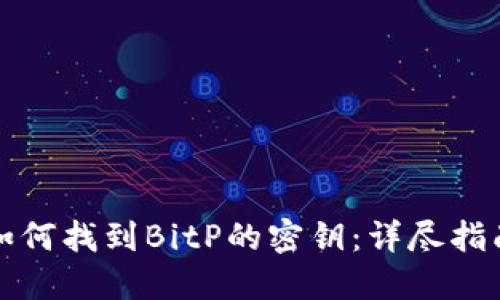如何找到BitP的密钥：详尽指南