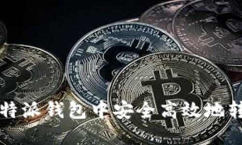 如何在B特派钱包中安全高效地转账DOT币