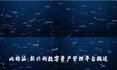 比特派：新兴的数字资产管理平台概述