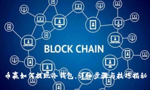 币赢如何提现冷钱包,详细步骤与技巧揭秘