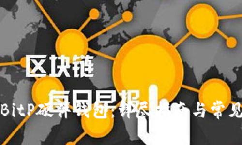 如何购买BitP硬件钱包:详尽指南与常见问题解答