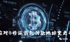 如何应对B特派钱包付款地