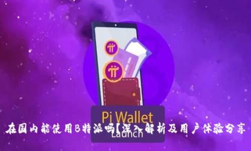 在国内能使用B特派吗?深入解析及用户体验分享