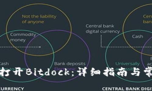 如何下载并打开Bitdock:详细指南与常见问题解答