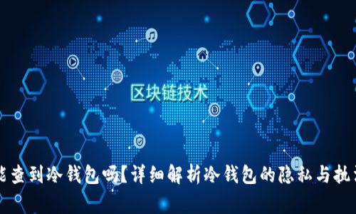 警察能查到冷钱包吗?详细解析冷钱包的隐私与执法界限