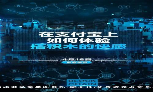 全面解析比特派苹果冷钱包:安全性、使用方法与常见问题解答