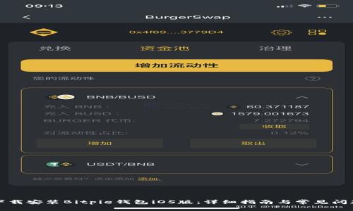 如何下载安装Bitpie钱包iOS版:详细指南与常见问题解答
