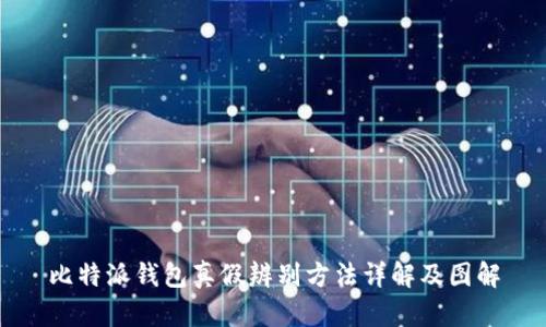 比特派钱包真假辨别方法详解及图解