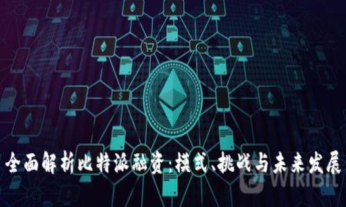 全面解析比特派融资:模式、挑战与未来发展