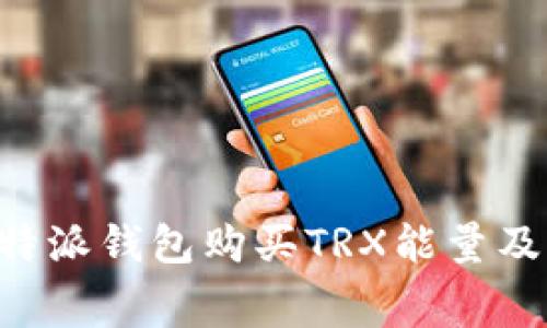 如何使用B特派钱包购买TRX能量及其费用解析