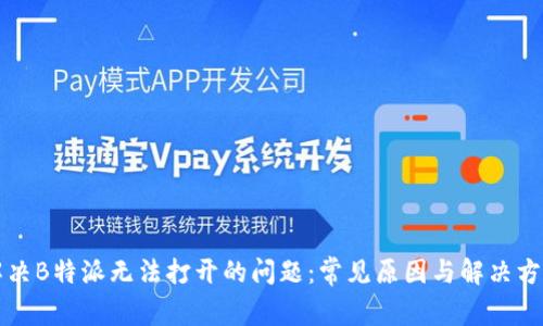 解决B特派无法打开的问题：常见原因与解决方法