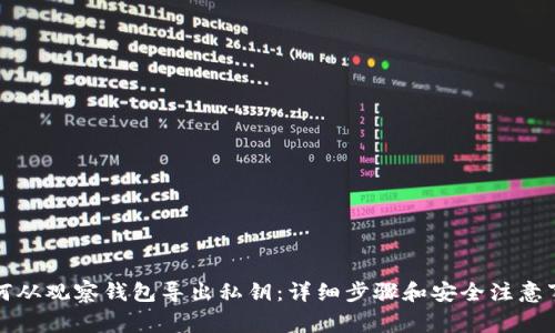 如何从观察钱包导出私钥：详细步骤和安全注意事项