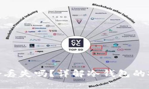 冷钱包里面的币会丢失吗?详解冷钱包的安全性与保护措施