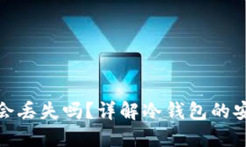 冷钱包里面的币会丢失吗?详解冷钱包的安全性与保护措施