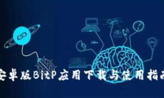安卓版BitP应用下载与使用