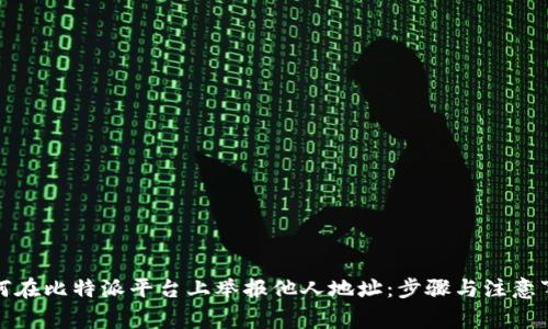如何在比特派平台上举报他人地址：步骤与注意事项