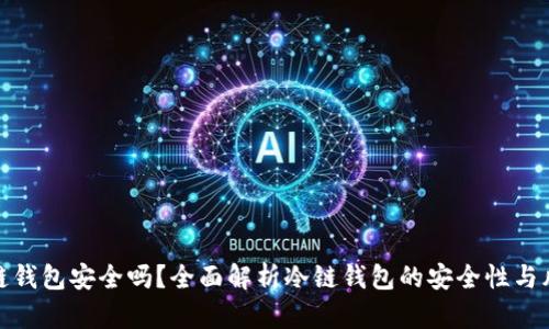 冷链钱包安全吗？全面解析冷链钱包的安全性与风险
