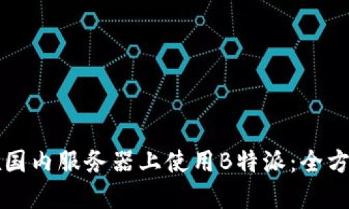 如何在国内服务器上使用B特派：全方位指南