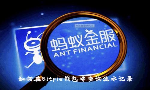 如何在Bitpie钱包中查询流水记录