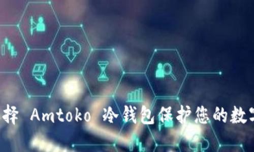 为何选择 Amtoko 冷钱包保护您的数字资产?