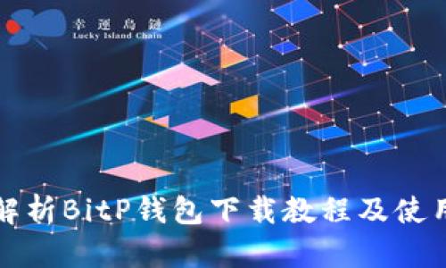 全面解析BitP钱包下载教程及使用指南