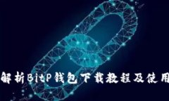 全面解析BitP钱包下载教程