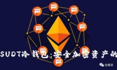 深度解析SUDT冷钱包：安全
