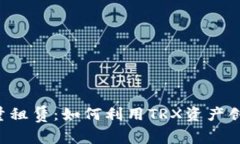 TRX能量租赁：如何利用T