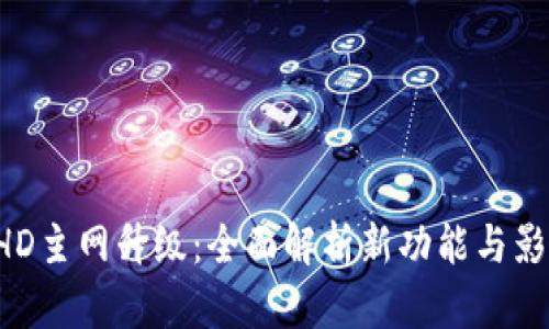 BHD主网升级:全面解析新功能与影响