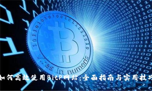 如何高效使用BitP网站：全面指南与实用技巧