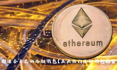 如何选择适合自己的冷链钱包?五大热门冷链钱包推荐与详解
