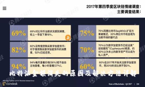 比特派金额消失的原因及解决方法详解