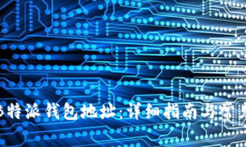 如何获取B特派钱包地址:详细指南与常见问题解答