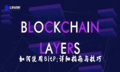 如何使用BitP：详细指南与