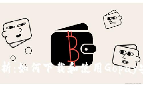 :
全面解析:如何下载和使用Gopay安卓版?