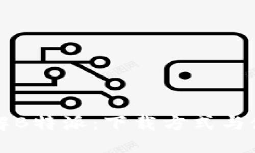 深入了解B特派：下载方式与使用指南