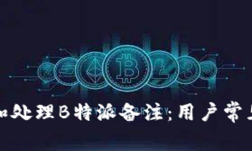 如何查看和处理B特派备注：用户常见问题解答