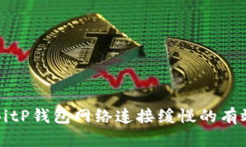 解决BitP钱包网络连接缓慢的有效方法
