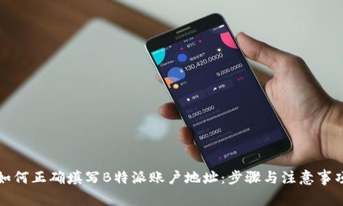 如何正确填写B特派账户地址:步骤与注意事项