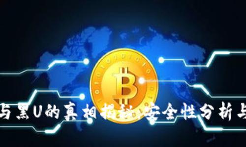 : 冷钱包与黑U的真相揭秘:安全性分析与使用指南