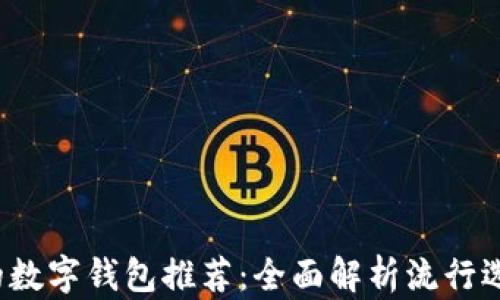 
2023年最好的数字钱包推荐：全面解析流行选项及其优缺点